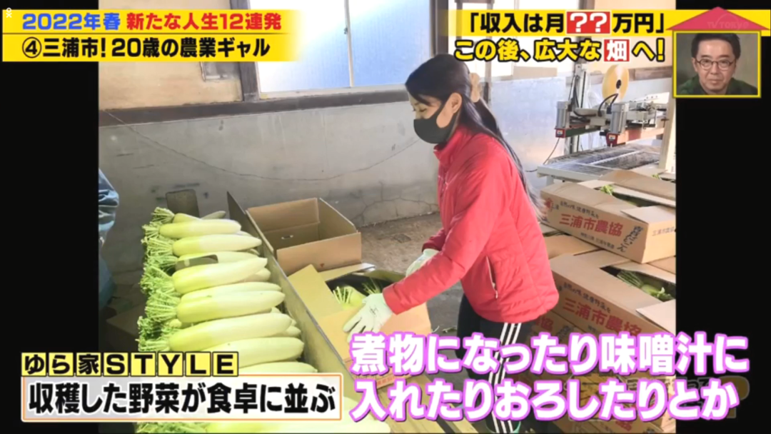 当农民的20岁辣妹 工作8小时收入居然有……(看到农民收获的感悟)