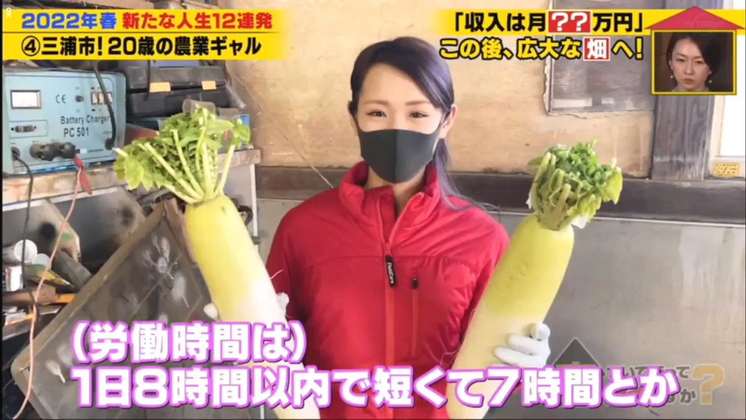 当农民的20岁辣妹 工作8小时收入居然有……(看到农民收获的感悟)