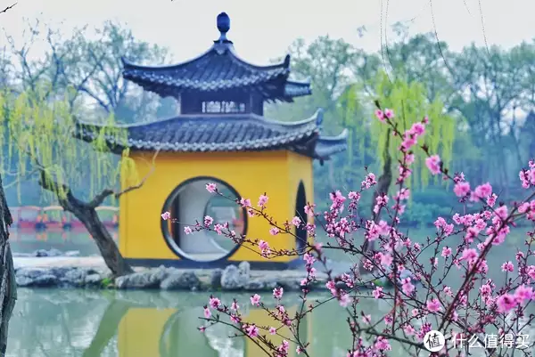 江苏苏州婚宴超震撼，包工带料四百16道菜，比山东大席还要热闹“丑娘”张少华称自己是校花，原以为开玩笑，看到照片后信了（苏州婚宴菜单16个菜）