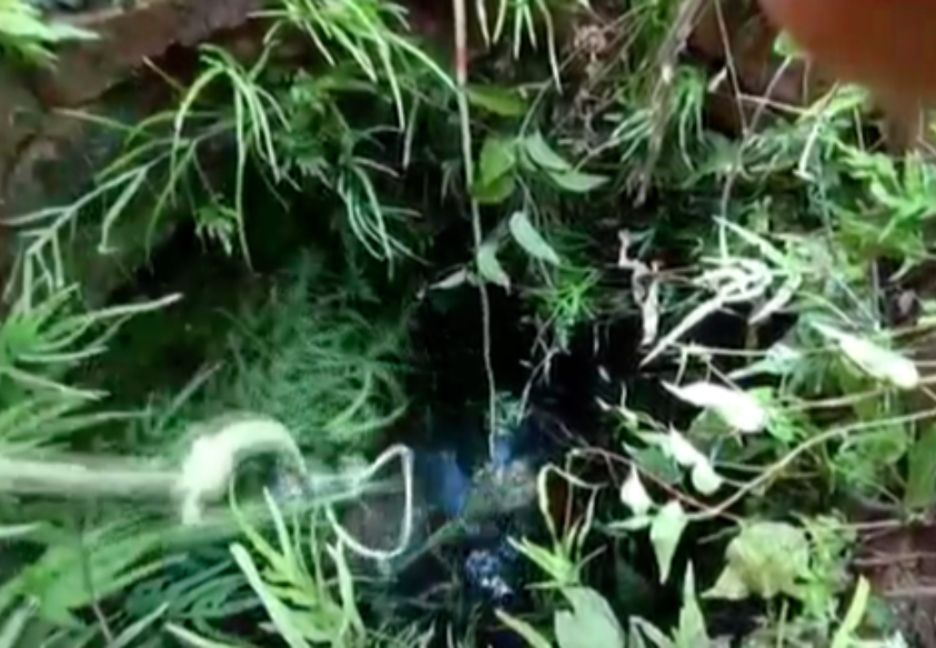 妈妈跳入井中护着儿子，唱起了《孤勇者》(妈妈掉到水里不救是什么罪)