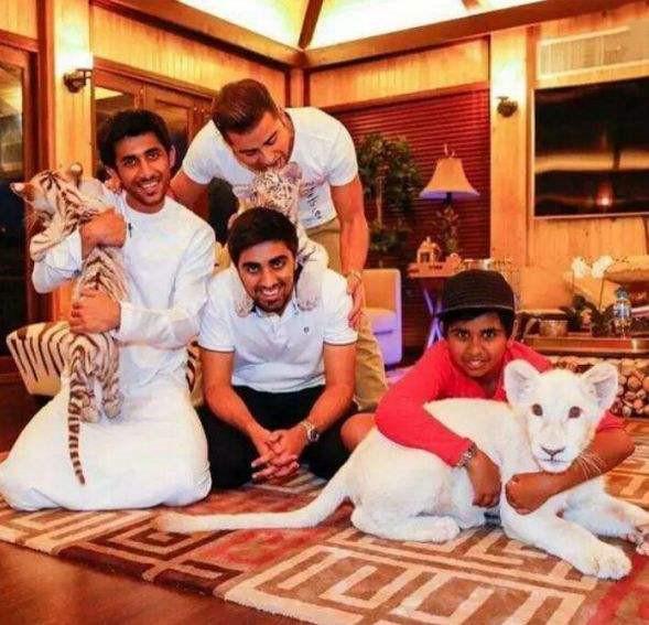 迪拜那么发达，为何至今不独立呢？(迪拜为什么不独立)