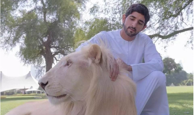 迪拜一个被高估的城市，真有那么“豪”吗？潜力或许不如温州(迪拜豪华吗)