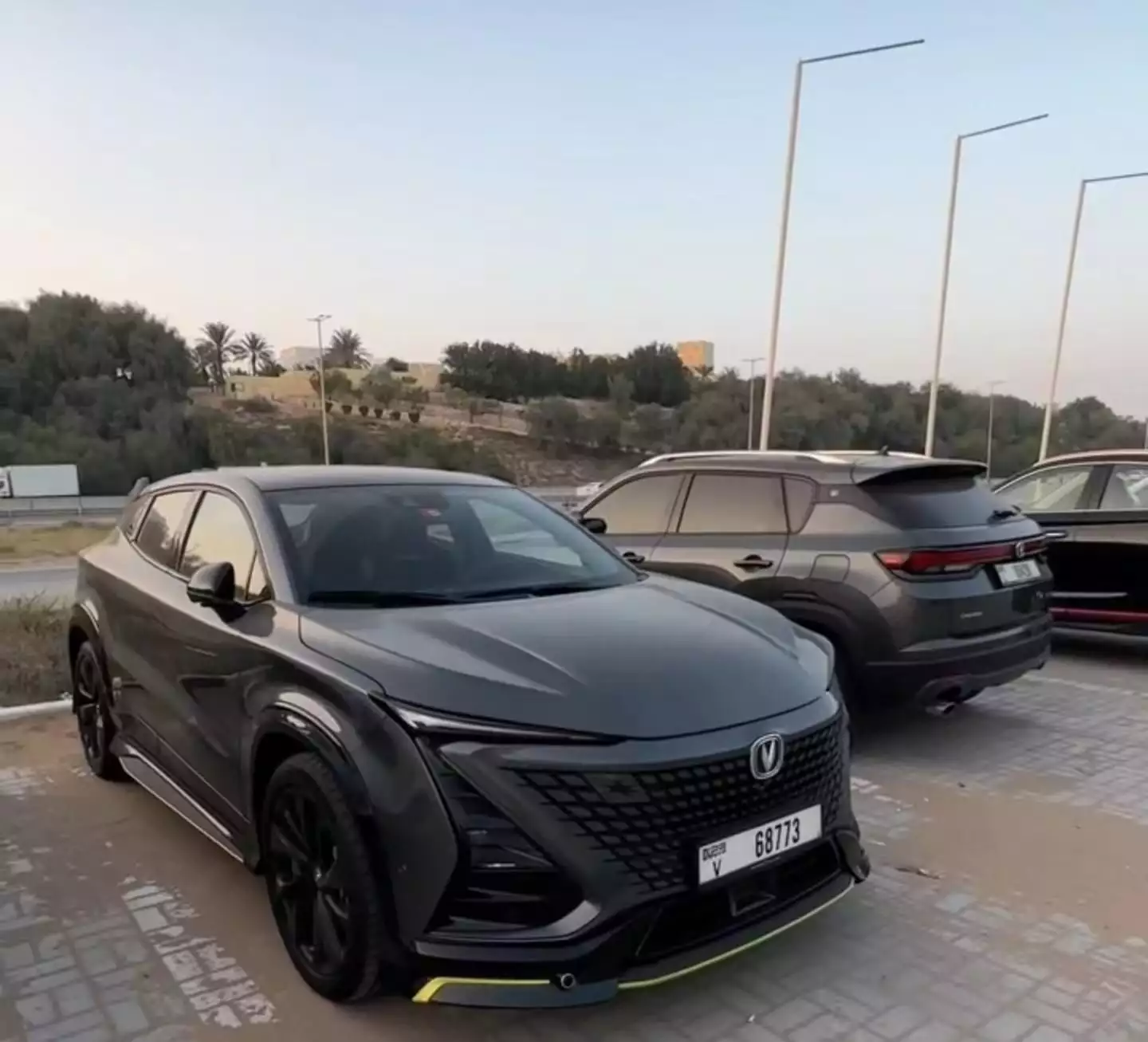 迪拜偏爱中国电动车：红旗加入豪车车队，有人求购仰望U8