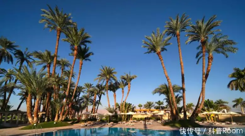 迪拜投资800亿，造出了一个臭水沟？甚至被称为工程师的噩梦？