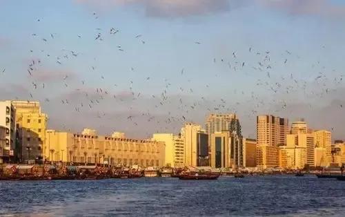 “迪拜”现状，带你看看一个真实的迪拜(迪拜uAs国际学校的升学率)