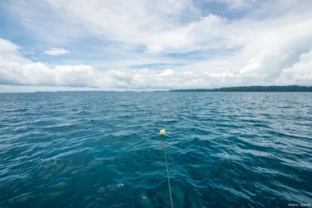 太平洋保险手机退保流程有哪些？多久能退回？(太平洋保险手机怎么退保流程)