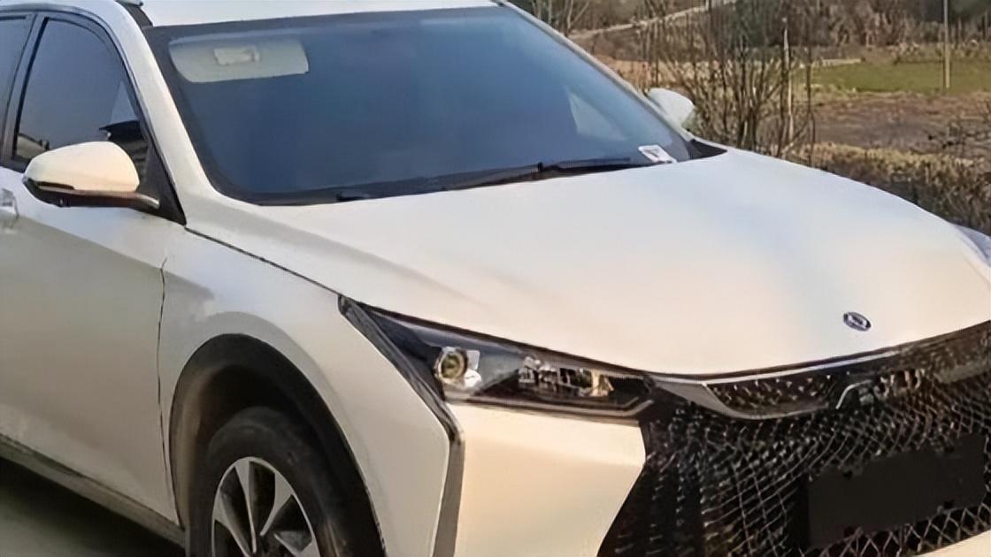 司机接一单顺风车后 车却被乘客卖掉（顺风车被抓会罚款吗）