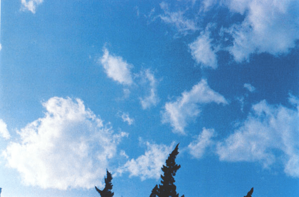 大理出现“大号棉花糖”云朵（附云的成因、类型、九大冷知识）黄土高原水土流失问题，高考重点！（云朵像棉花糖似的怎么样）