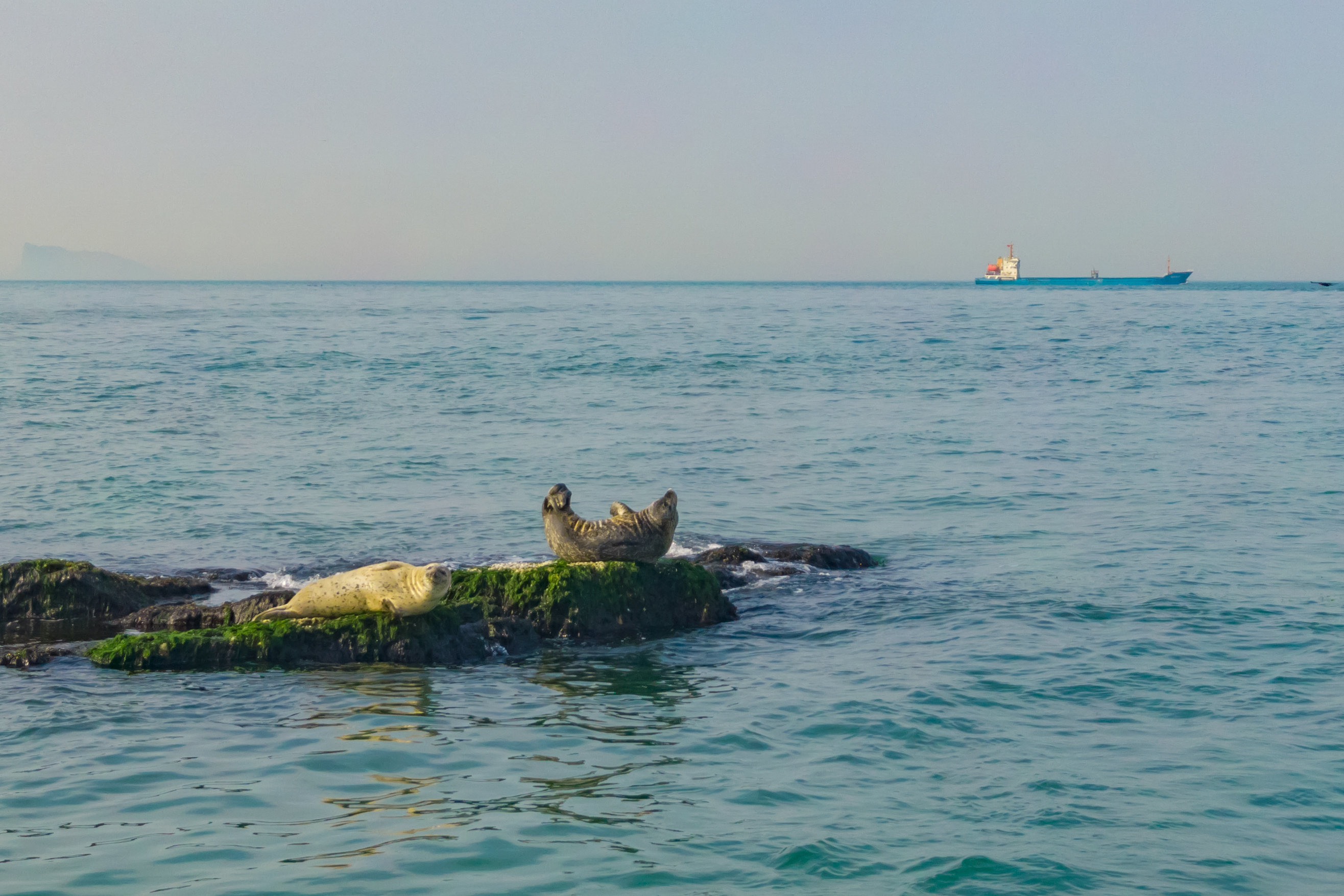 山东：全省生态环境质量连创有监测记录以来最优（山东省生态环境厅新闻发布会）