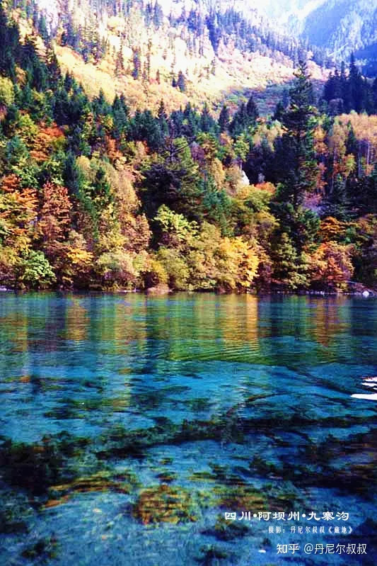 去九寨沟最佳时间是什么时候？花费大概多少？（郑州去九寨沟最佳路线）