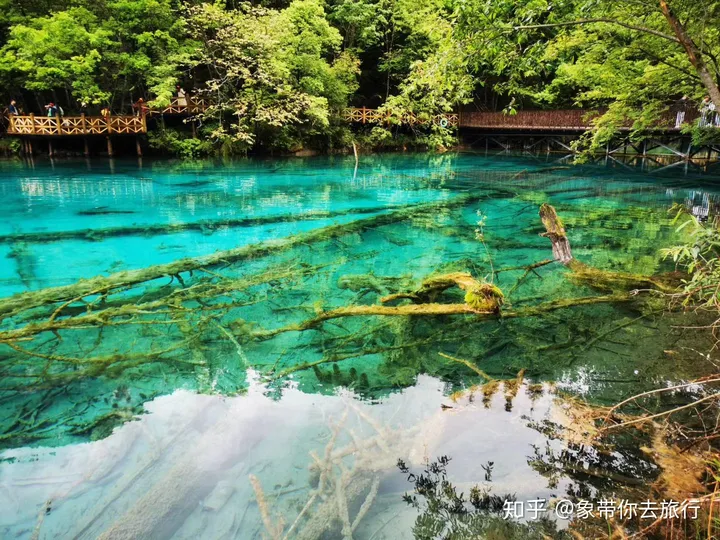 九寨沟旅游攻略，门票、交通、住宿攻略（九寨沟风景区旅游攻略）