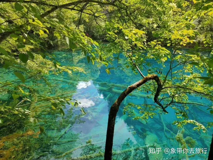 九寨沟旅游攻略，门票、交通、住宿攻略（九寨沟风景区旅游攻略）