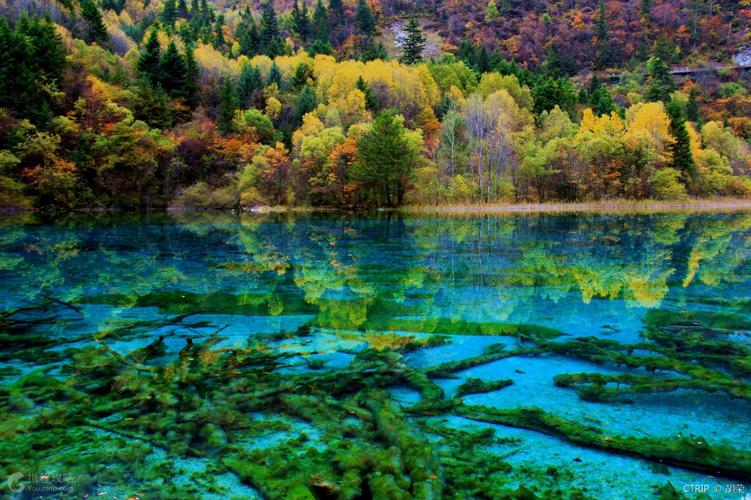 2023去四川游玩七天六晚大概花费，成都+黄龙+九寨沟7天最佳路线（成都去黄龙九寨沟二日游报价）