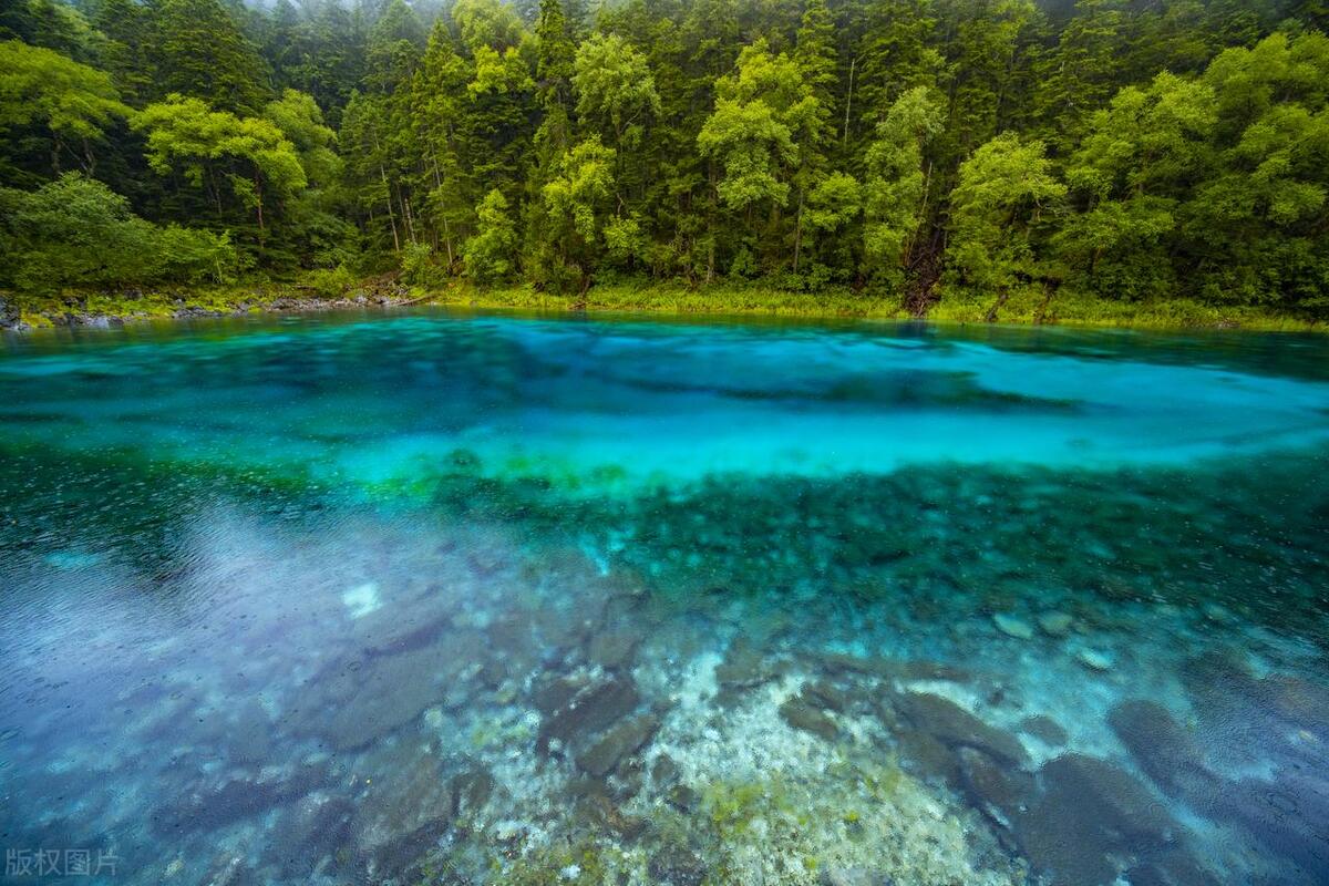 九寨沟旅游大概多少钱？九寨沟旅游攻略，必备！建议收藏（九寨沟景区门票多少钱）