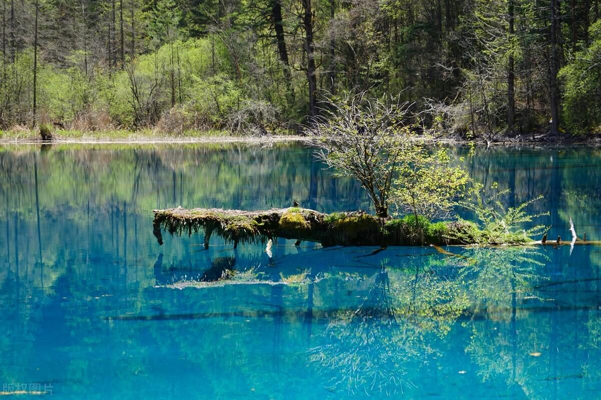 四川最好玩的地方，去九寨沟旅游要多少钱?（到四川九寨沟旅行）