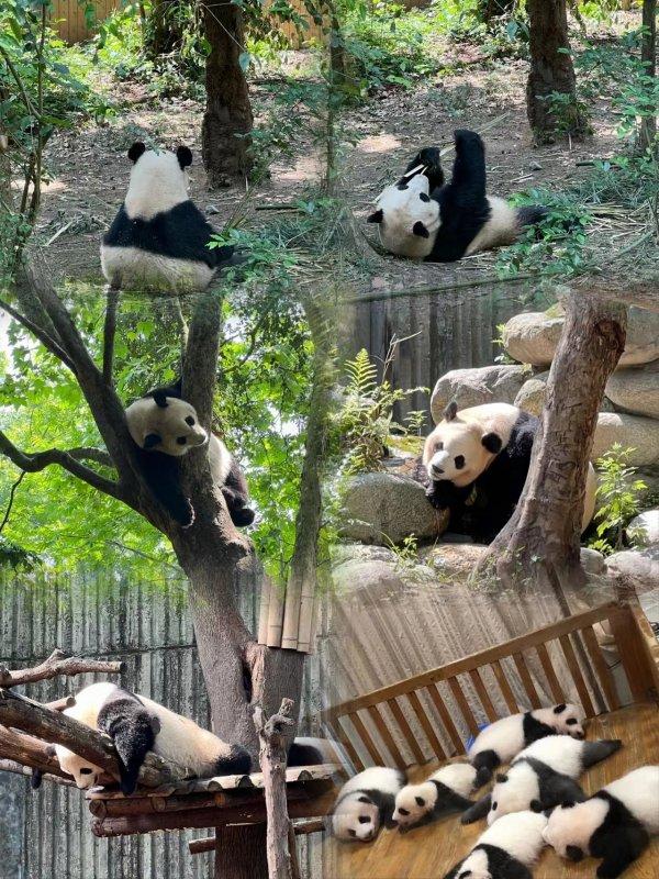 四川最好玩的地方，去九寨沟旅游要多少钱?（到四川九寨沟旅行）