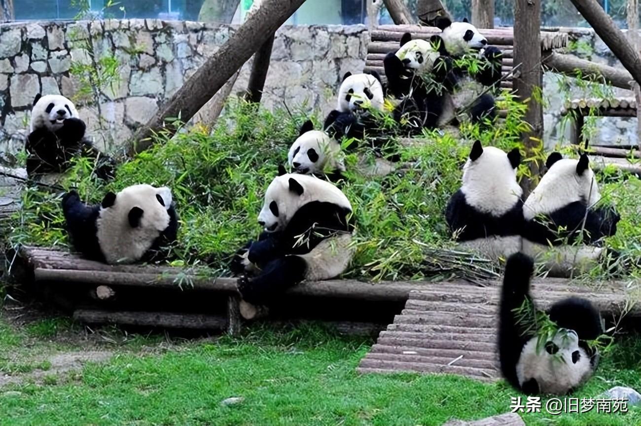 九寨沟7日游自由行攻略及费用，九寨沟七日游行程游玩攻略/附行程（九寨沟自由行攻略四日游）