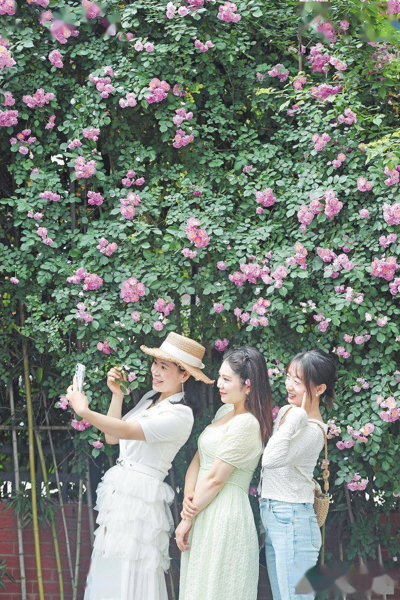 “五一”假期临近，旅游保险你买对了吗（探险）(旅游保险有用吗)