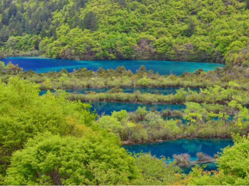 一生必去一次的地方——九寨沟（九寨沟一日游旅游线路）