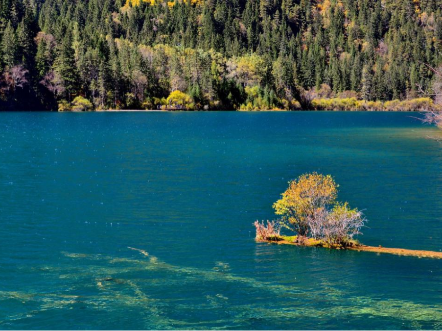一生必去一次的地方——九寨沟（九寨沟一日游旅游线路）
