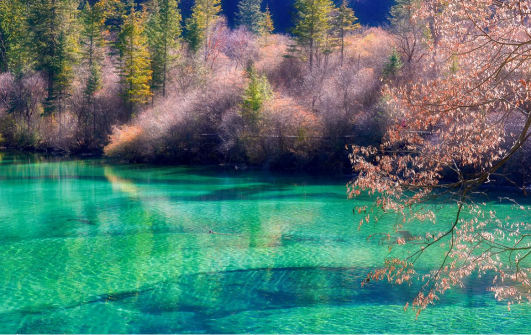 一生必去一次的地方——九寨沟（九寨沟一日游旅游线路）