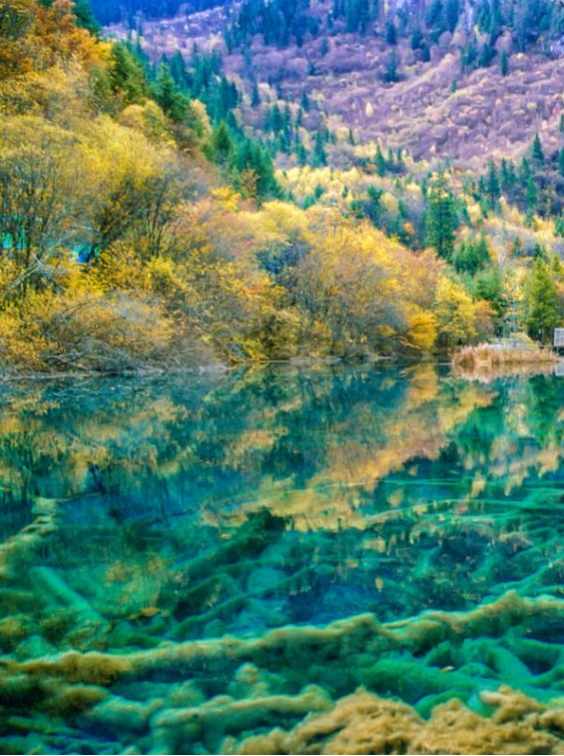 一生必去一次的地方——九寨沟（九寨沟一日游旅游线路）