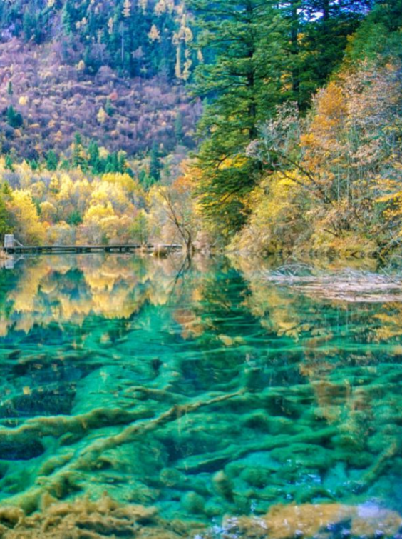 一生必去一次的地方——九寨沟（九寨沟一日游旅游线路）