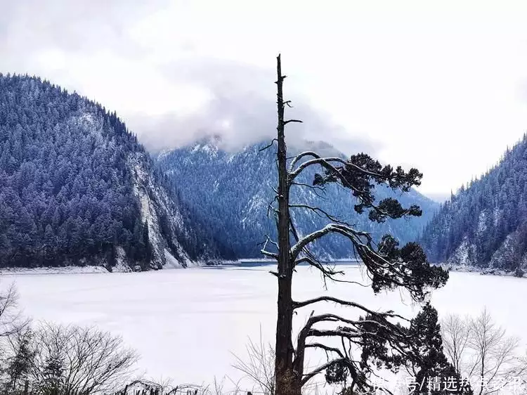中国九寨沟第十八届国际冰瀑旅游节正式拉开帷幕（九寨沟下冰雹了吗现在）