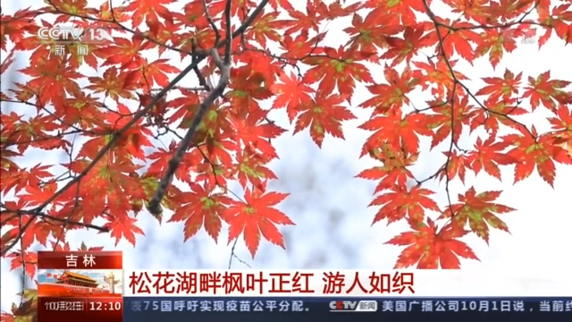 三星堆、九寨沟、云冈石窟……多个旅游热门目的地现大客流（三星堆坐几路车）