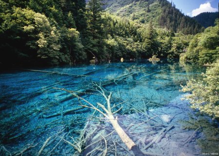 成都到九寨沟自由行攻略，让您的旅行更轻松！（成都到九寨沟两日游攻略）