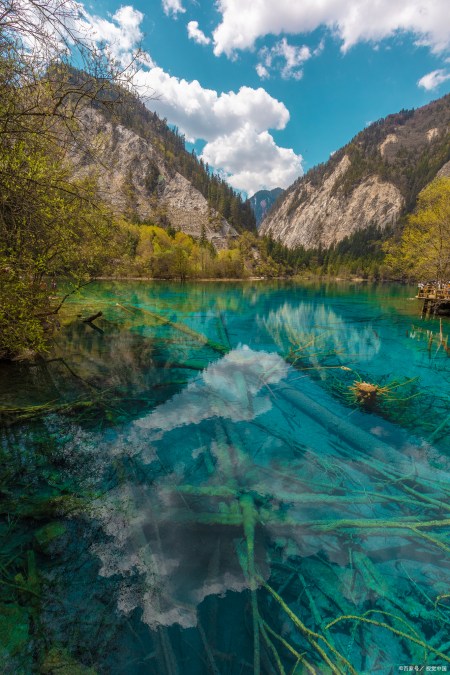 成都到九寨沟自由行攻略，让您的旅行更轻松！（成都到九寨沟两日游攻略）