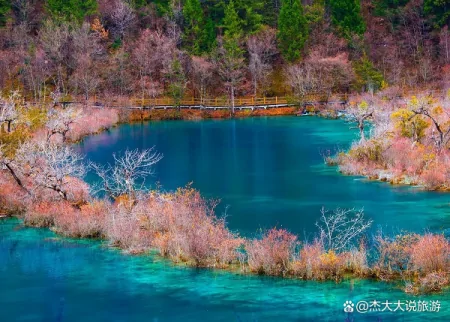 九寨沟是哪个省的旅游景点？（九寨沟是哪个省市的?）