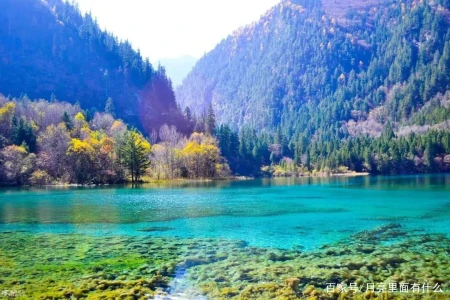 九寨沟游玩攻略分享，很实用，建议收藏（九寨沟游攻略大全）