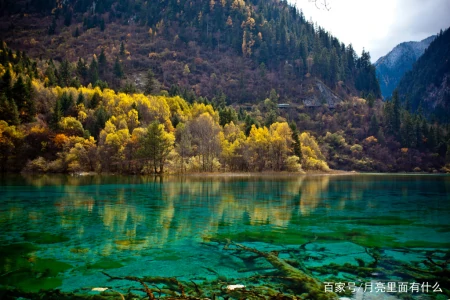 九寨沟游玩攻略分享，很实用，建议收藏（九寨沟游攻略大全）