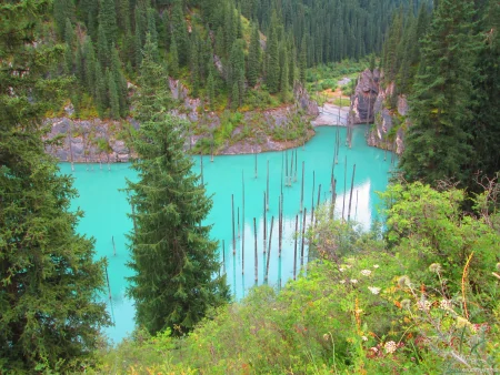 4月九寨沟旅游攻略：春暖花开的仙境之旅（九寨沟四月旅游）