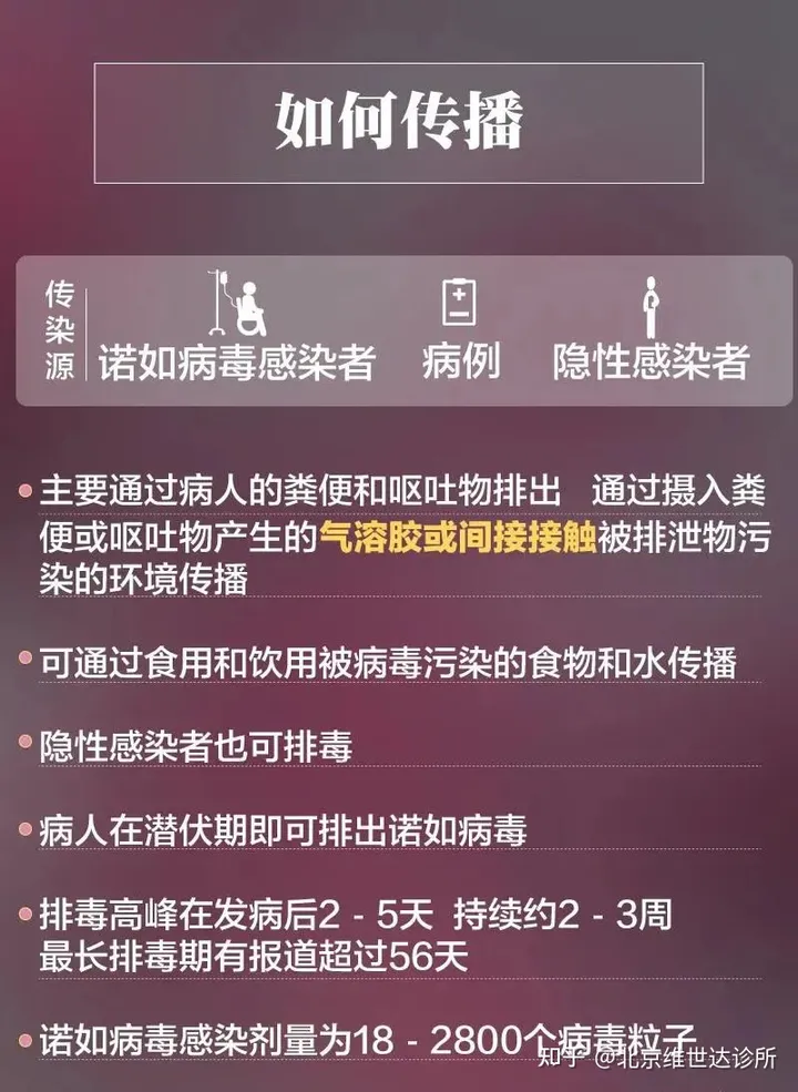 一图读懂！诺如病毒来袭，应对攻略！(诺如病毒的主要症状是什么?)