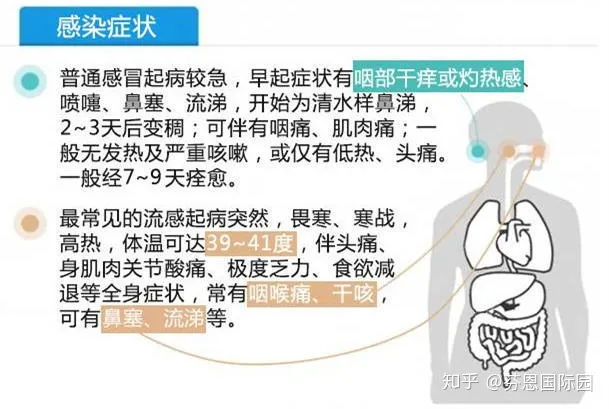 手足口、诺如病毒来了怎么办？防治办法看这里(诺如病毒会传播吗)