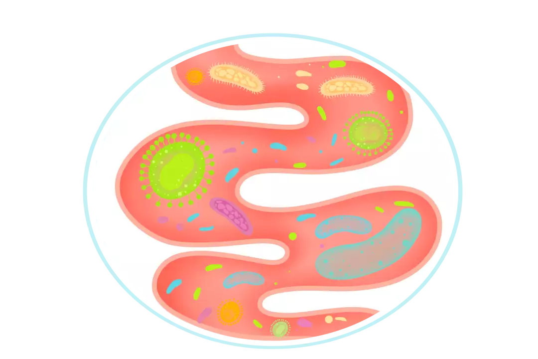 【科普】面对诺如病毒不必恐慌！你想了解的都在这拥有最性感嘴唇的这十位女明星，每个都妩媚动人，身材惹火性感(诺如病毒视频科普)
