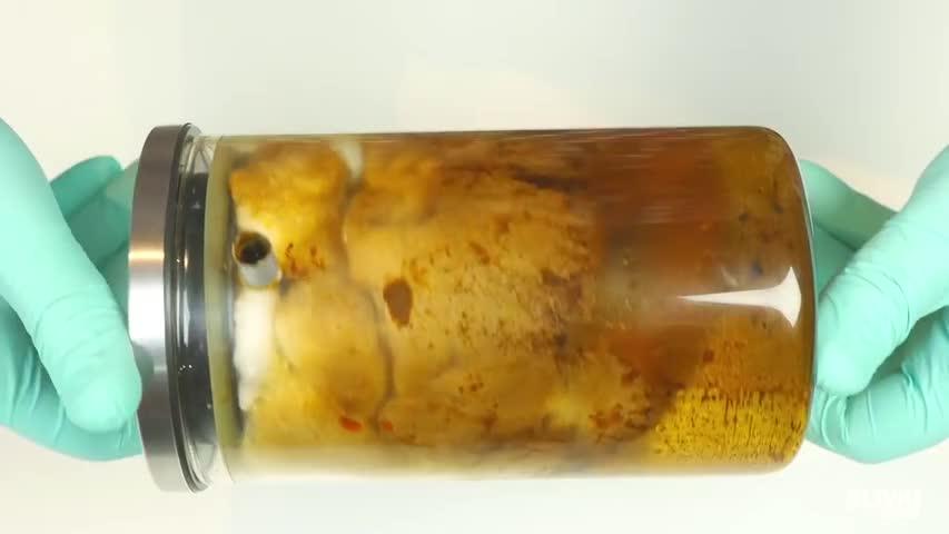 世界无烟日丨2分钟视频触目惊心…开始戒烟，什么时候都不晚！