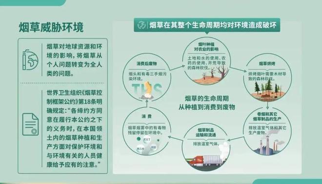 2022年5月31日 第35个 世界无烟日 主题：烟草威胁环境