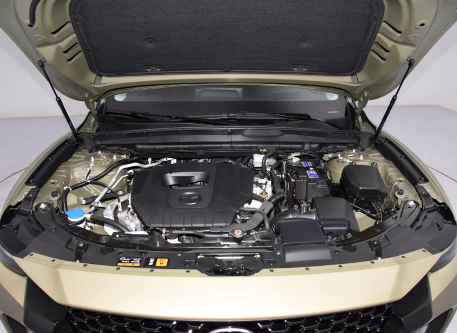 先别着急下单，5月将上市的6款实力型SUV，说不定有你的菜