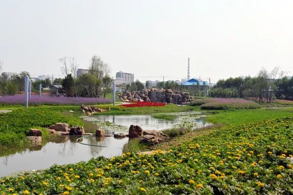 恭喜！！农安县成为东北唯一的全国县域经济投资潜力“百强县”！