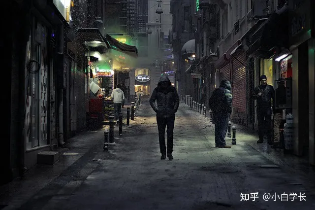 忠犬八公是什么狗，忠犬八公是什么狗演的哪来的