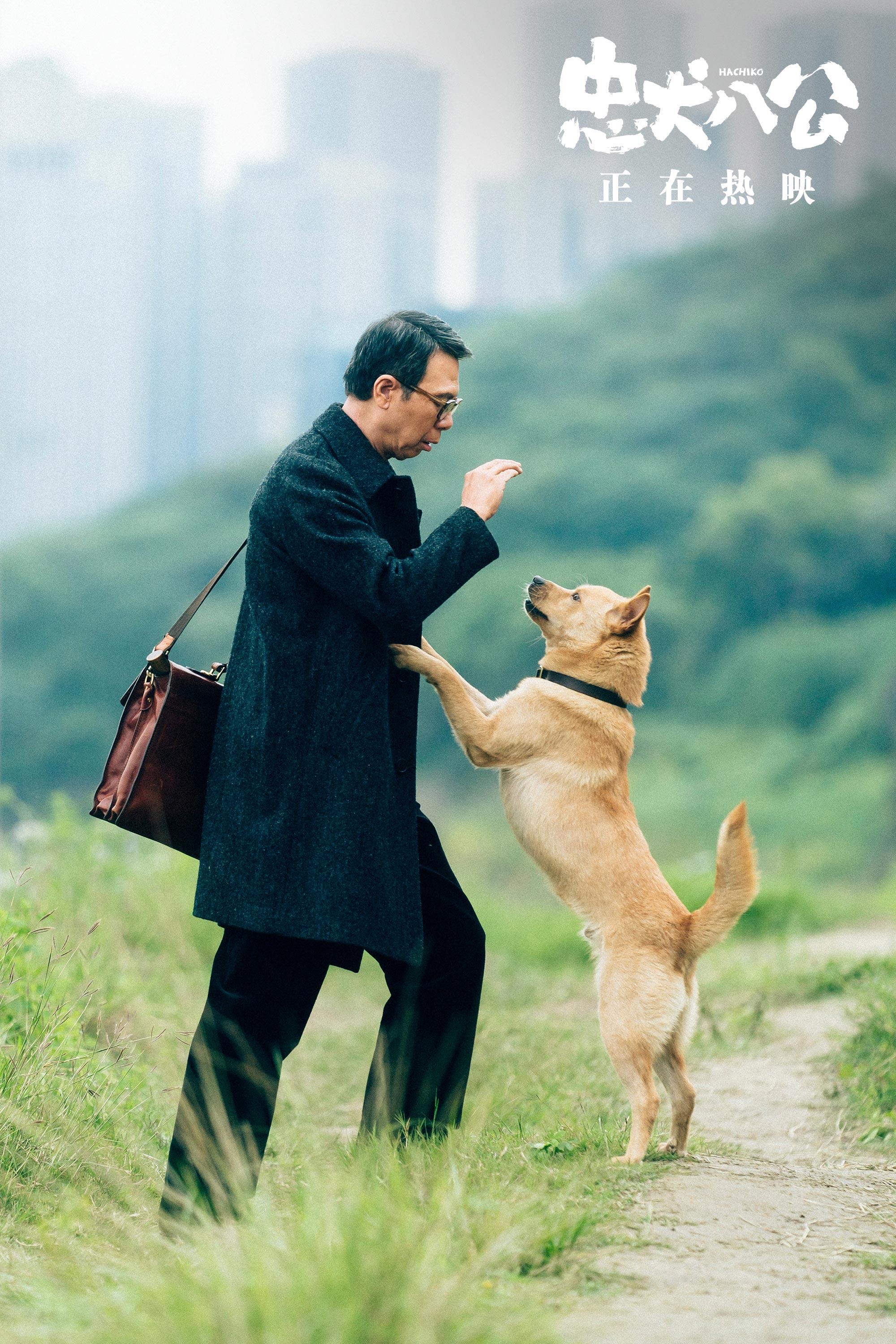 巧妙的本土化改编，大胆加入原创元素！《忠犬八公》拍出爱也拍出变迁