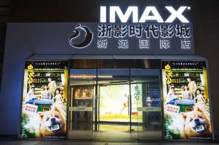 《忠犬八公》推陪伴专场：想过会哭没想到能哭成这样