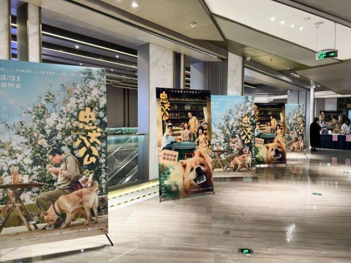 《忠犬八公》推陪伴专场：想过会哭没想到能哭成这样