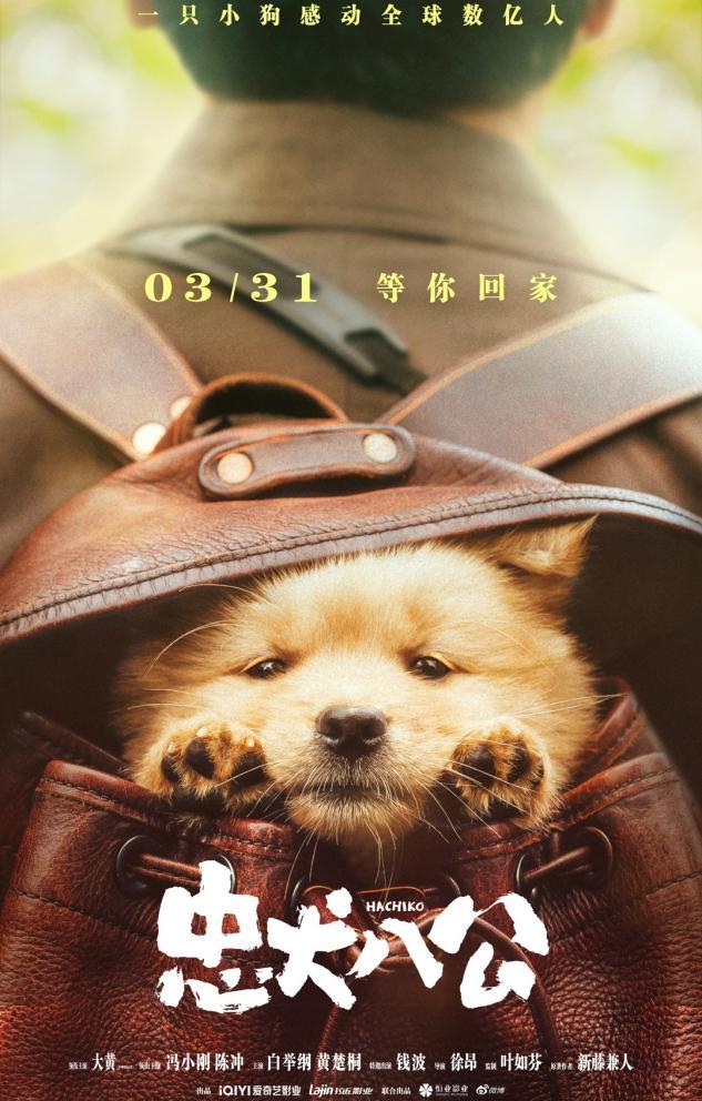 《忠犬八公》推陪伴专场：想过会哭没想到能哭成这样