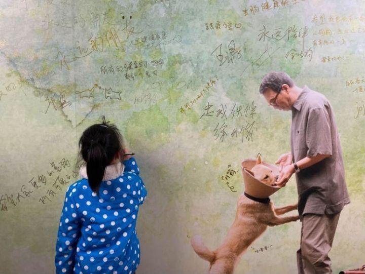 《忠犬八公》推陪伴专场：想过会哭没想到能哭成这样