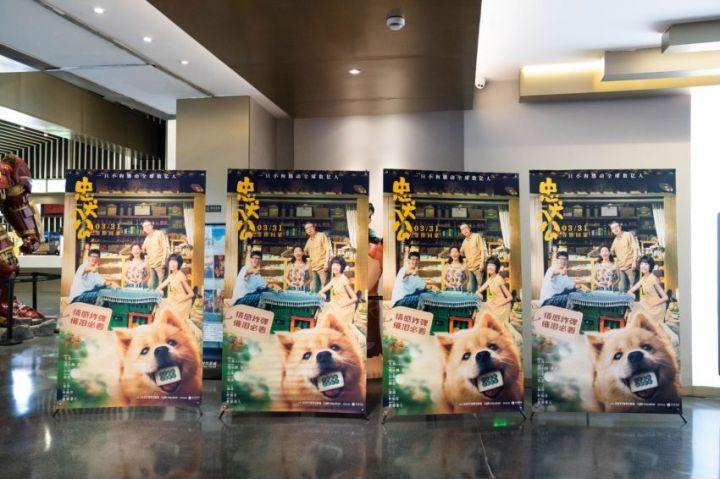 《忠犬八公》推陪伴专场：想过会哭没想到能哭成这样