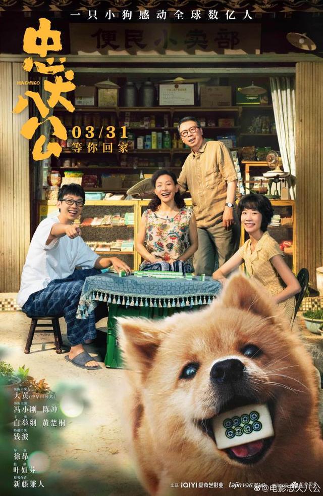 《忠犬八公》今日上映 再现狗狗感动全球数亿人的故事